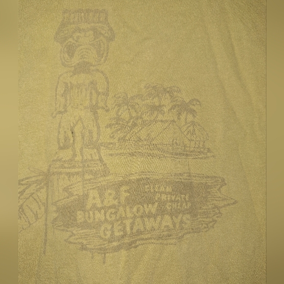 An Abercrombie and Fitch men's short sleeve t-shirt in a size medium. - Picture 2 of 6